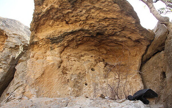 قاچاقچیان با ادوات حفاری و تجهیزات به جان «لانه طاوس» افتادند